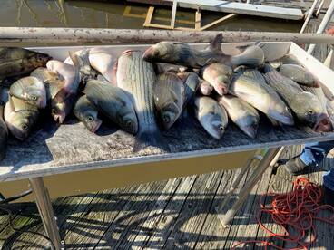Mr. Wayne's Guide Service.  Lake Tawakon