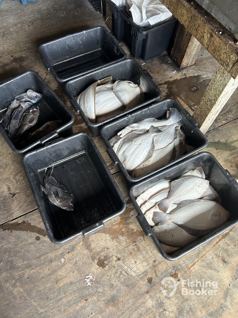 South Kingstown Report Photo 0