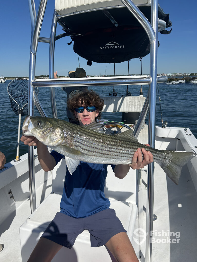 Ocean City Report Photo 0