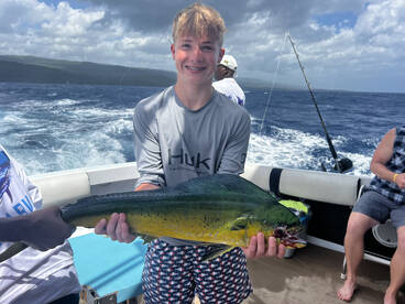 Ocho Rios Report Photo 1