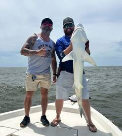 Sharks and inshore fishing