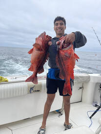 Dana Point Report Photo 1