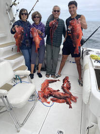 Dana Point Report Photo 2