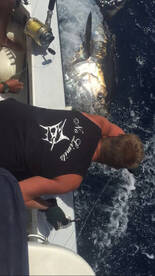 Costa Adeje Report Photo 2