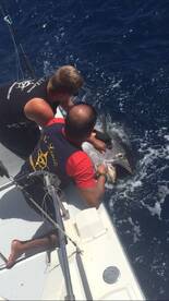 Costa Adeje Report Photo 1