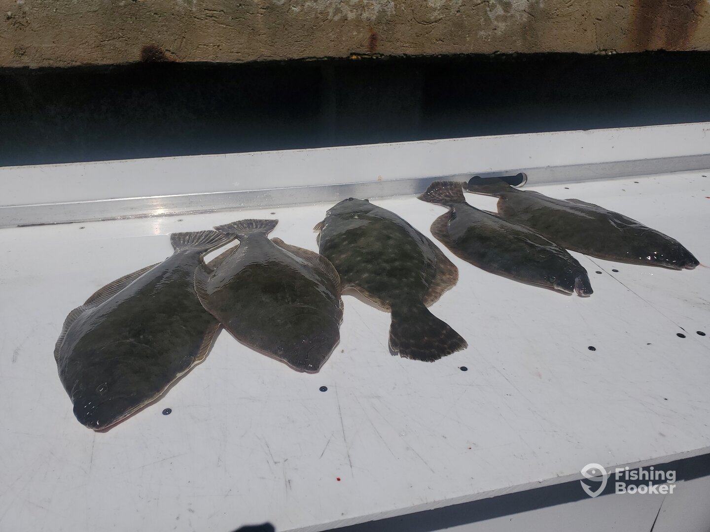 Murrells Inlet Report Photo 0