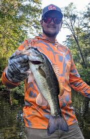 Murrells Inlet Report Photo 2