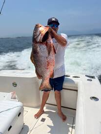 Puerto Vallarta Report Photo 1