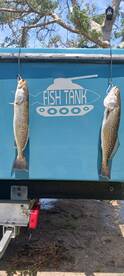 Manns Harbor Report Photo 1