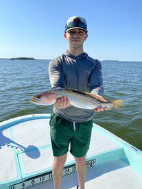 Everglades City Report Photo 2