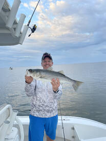 Summer rockfish 