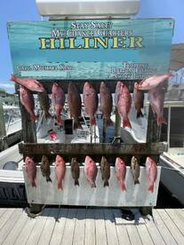 All day fishing trip for a wonderful fam