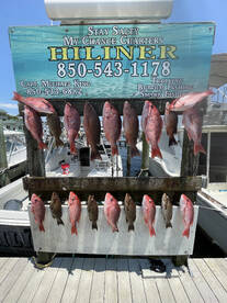 All day fishing trip for a wonderful fam