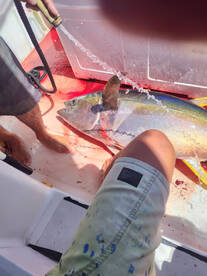 Haleiwa Report Photo 1