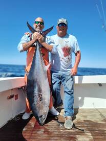 Massive tuna !