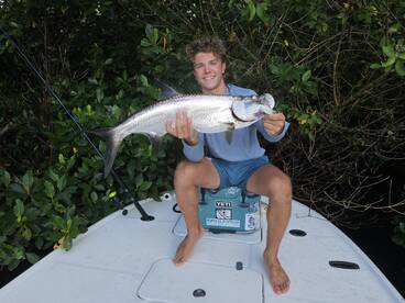 Tarpon frenzy!