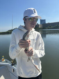 Brigantine Report Photo 1