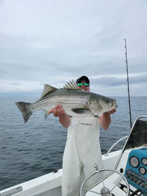 Big stripers on bunker