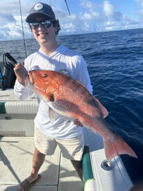Red snapper spawn (out of season opens u