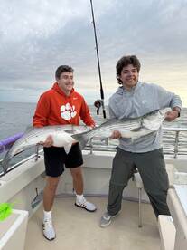 Montauk Report Photo 1