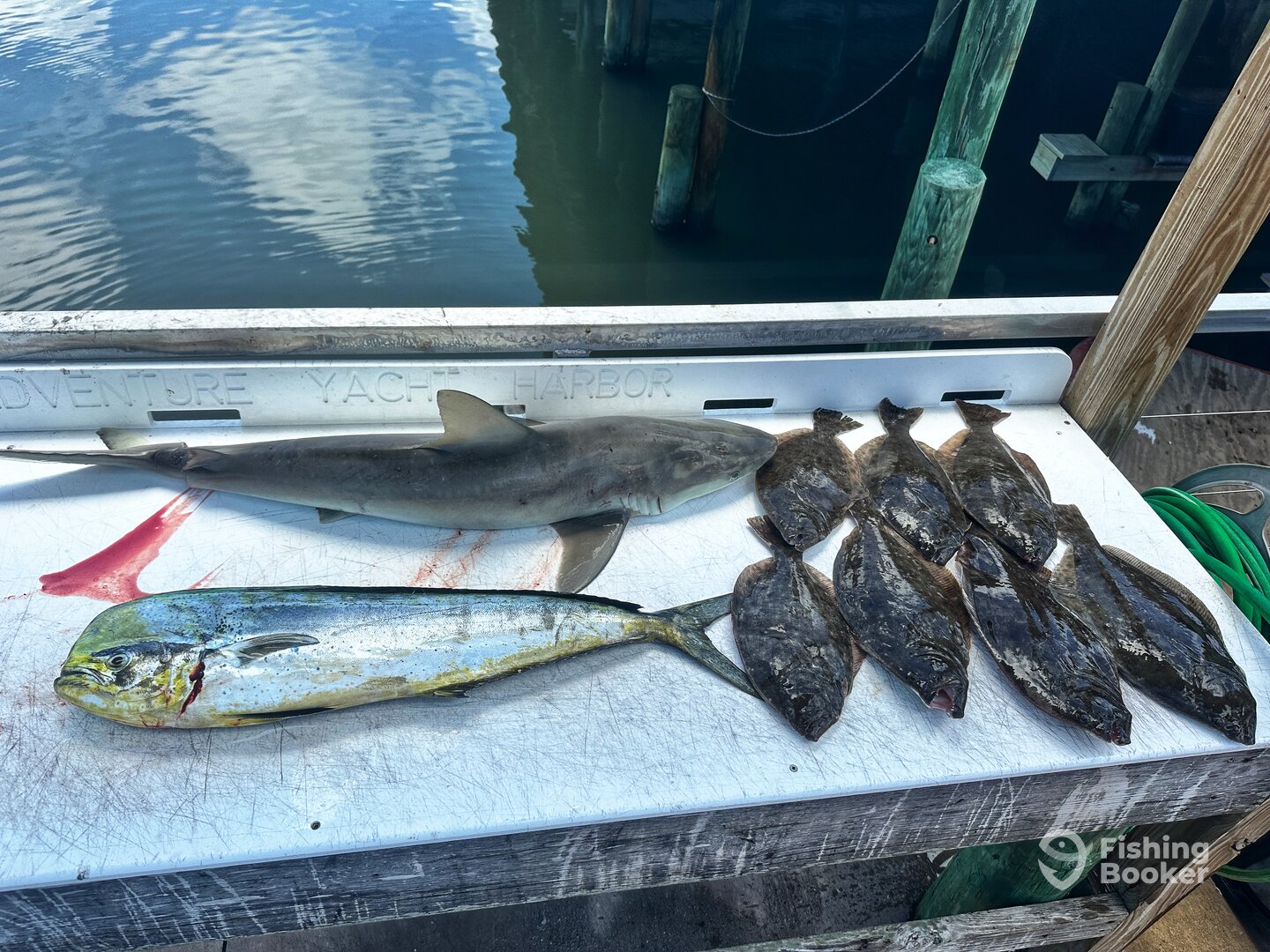 Port Orange Report Photo 0