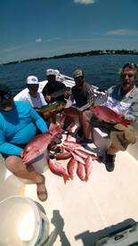 Good mahi mahi showing up