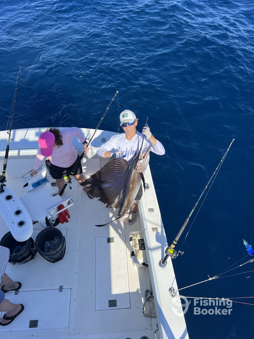 Palm Beach Report Photo 0