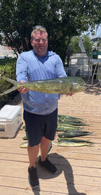 Mahi limit 