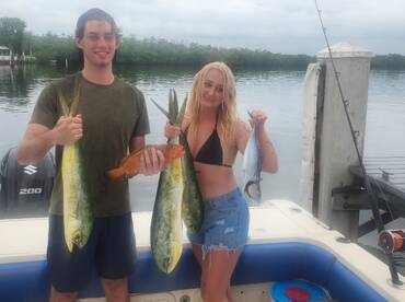 Mahi mahi between  the rain