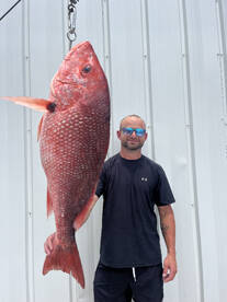 25lb snapper!