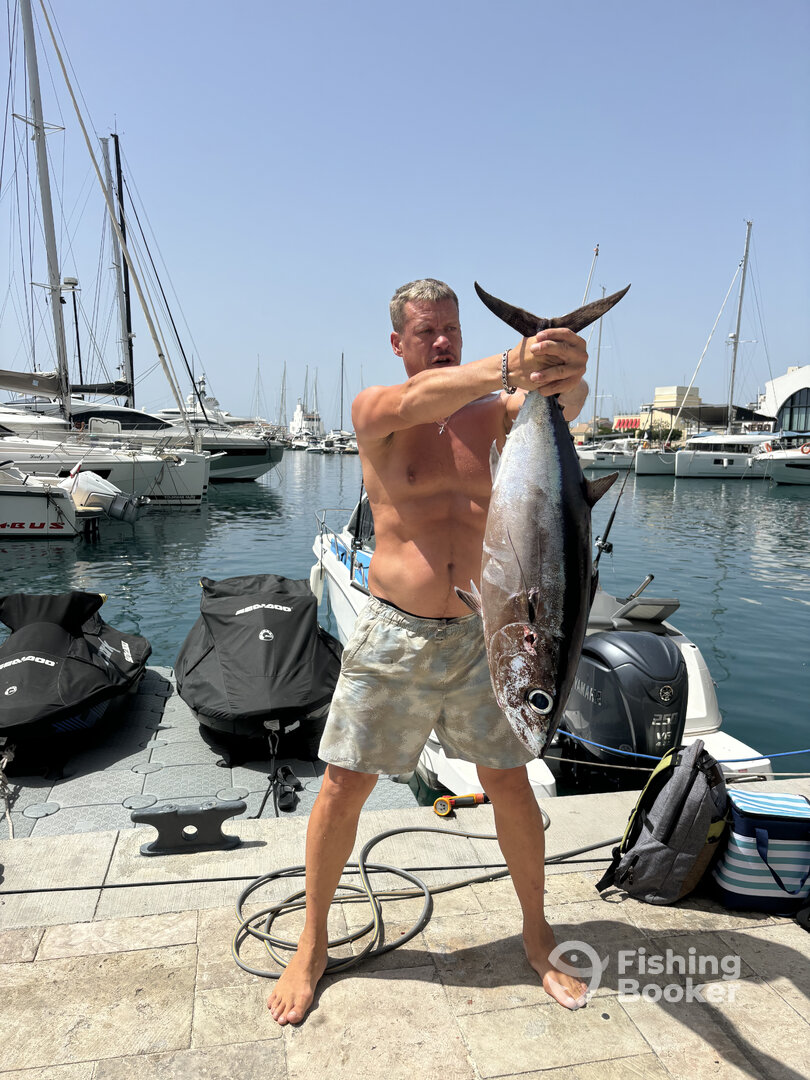 Limassol Report Photo 0