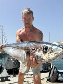 Limassol Report Photo 1