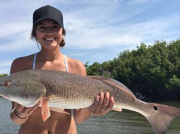 Sarasota Report Photo 1