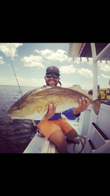 Reds and Snook!