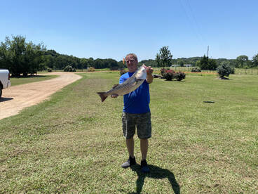 Platter Report Photo 2