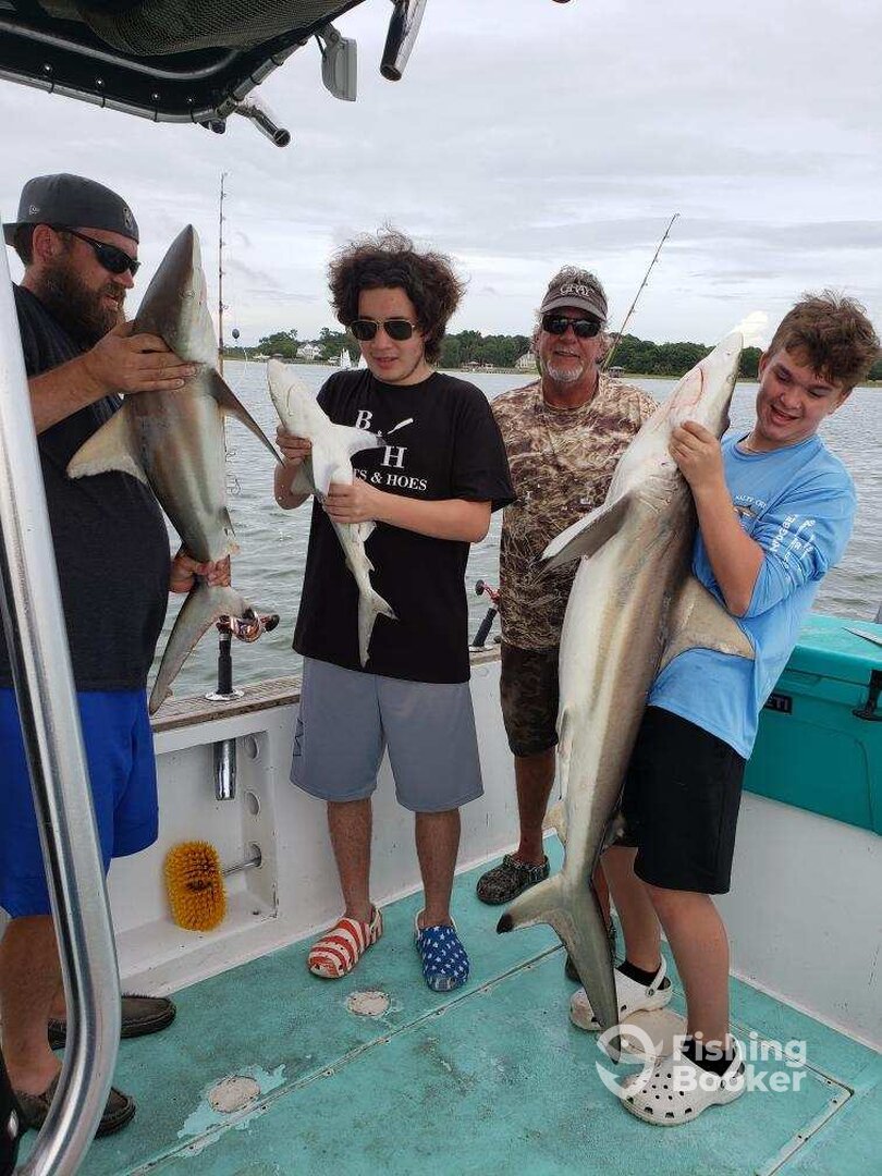 Hilton Head Island Report Photo 0