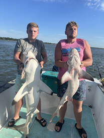 Hilton Head Island Report Photo 1