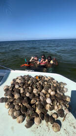 Steinhatchee Report Photo 1