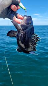 Atlantic City Report Photo 2