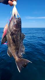 Atlantic City Report Photo 1