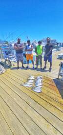 Insgore trolling and light tackle stripe