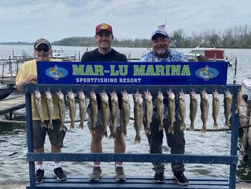 Get in on great 2024 action now! Let’s g