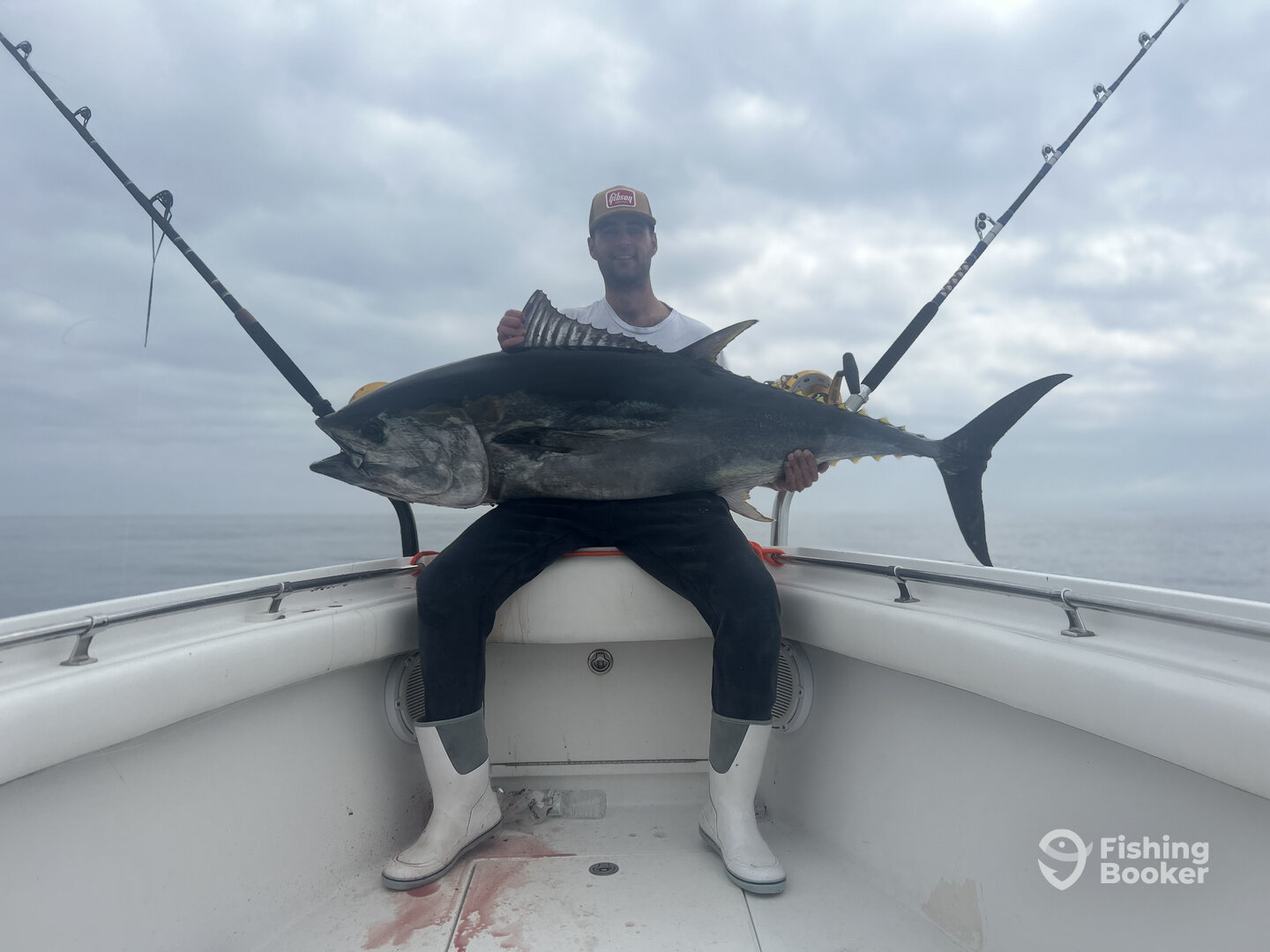 65” for dinner 