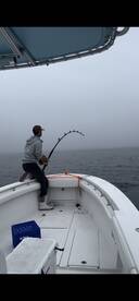 Awesome down rod eat 