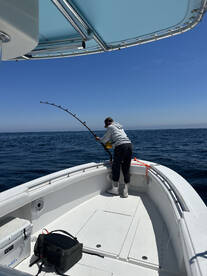 Another mid 60” BFT today 