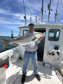 Striped Bass Galore!!!
