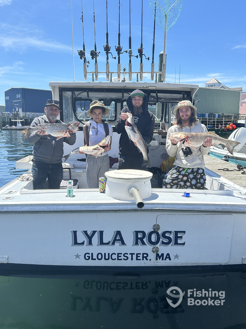 Gloucester Report Photo 0