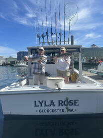 Gloucester Report Photo 1