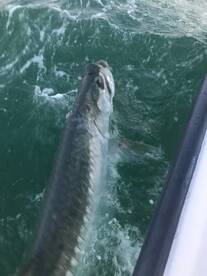 Ramrod Key Report Photo 1