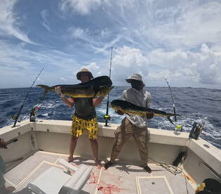 Mahi Mahi Fishing Day!